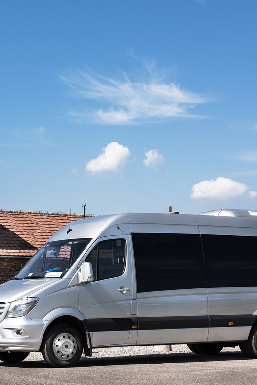 Krakow: Auschwitz-Birkenau & Wieliczka Salt Mine Day Tour - Practical prep checklist for your day