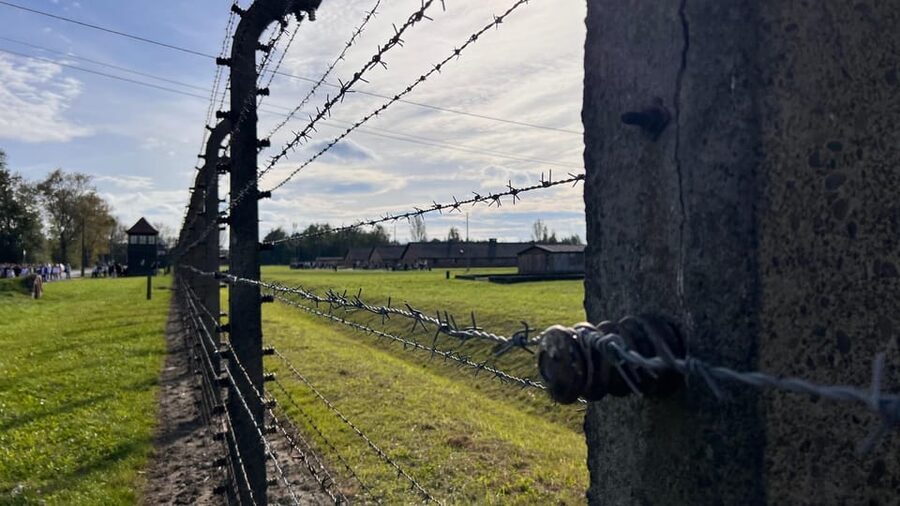 Krakow: Auschwitz-Birkenau & Wieliczka Salt Mine with Lunch - Who this tour suits best, and who should rethink it