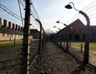 Auschwitz-Birkenau & Wieliczka Salt Mine with Lunch
