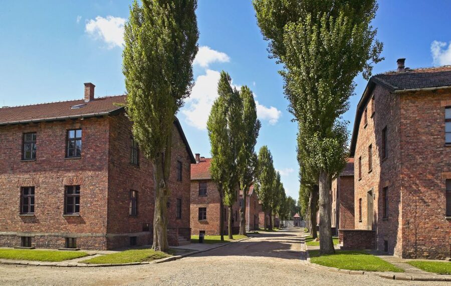 Krakow: Auschwitz Guided Tour with Optional Hotel Pickup - Auschwitz-Birkenau From Krakow: How the Day Really Works