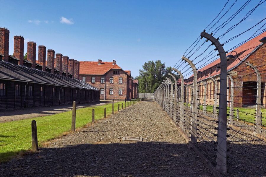 Krakow: Auschwitz Guided Tour with Optional Hotel Pickup - Pace and Group Dynamics: What You Can and Can’t Control