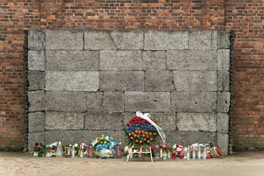 Krakow: Auschwitz Guided Tour with Pickup and Optional Lunch - Skip-the-line entry: what it means and what it does not