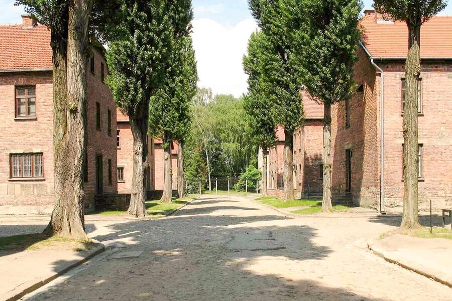 Krakow: Auschwitz & Wieliczka Salt Mine Guided Day Tour - Who this tour fits best