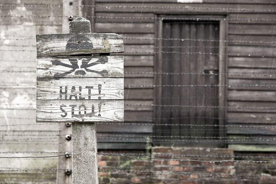 Krakow: Auschwitz & Wieliczka Salt Mine Guided Day Tour - Transport between stops, and what headsets change