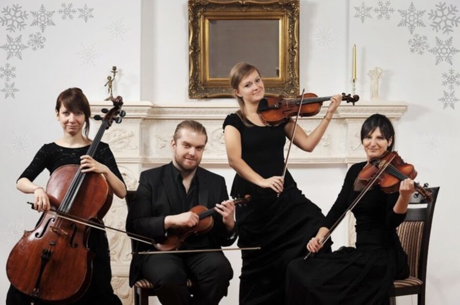 Krakow: Christmas Music Concert With Wine - Who should book this Krakow Christmas music concert