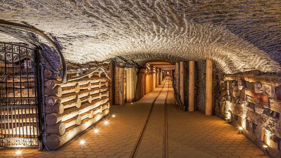 Krakow: Full-Day Auschwitz-Birkenau & Salt Mine Guided Tour - Who this tour is best for, and who should think twice