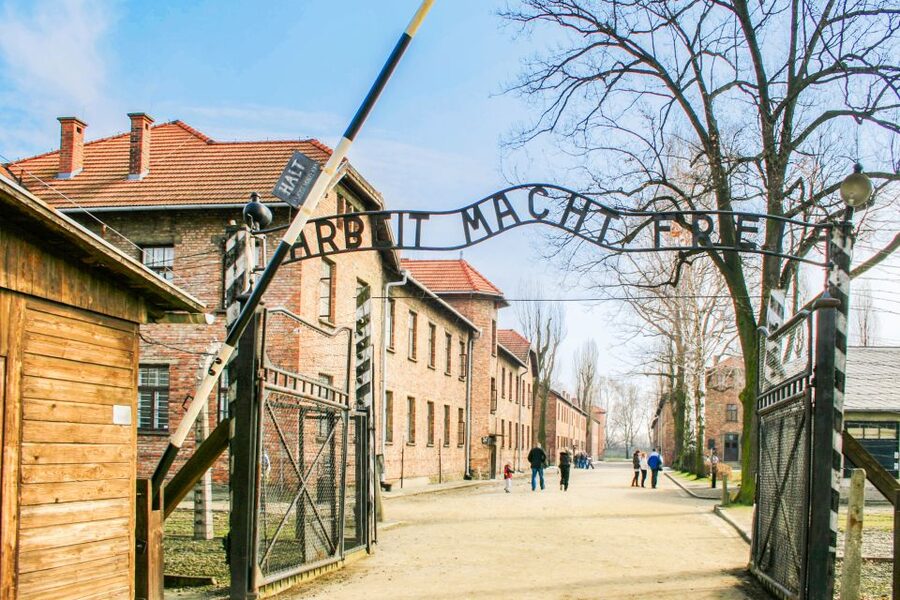 Krakow: Full-Day Auschwitz-Birkenau & Salt Mine Guided Tour - Why this Auschwitz and salt mine combo hits so hard