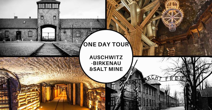 Krakow: Full-Day Auschwitz-Birkenau & Salt Mine Guided Tour - Auschwitz-Birkenau: what the 3.5-hour guided walk should do for you