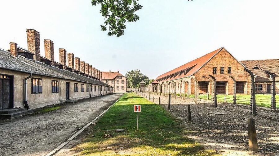 Krakow: Full-Day Auschwitz-Birkenau & Salt Mine Guided Tour - Switching gears: the drive to Kraków for lunch and recovery time