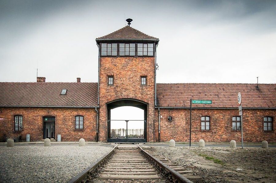 Krakow: Full-Day Auschwitz-Birkenau & Salt Mine Guided Tour - Price and value: is $118 a fair deal for this much guidance?