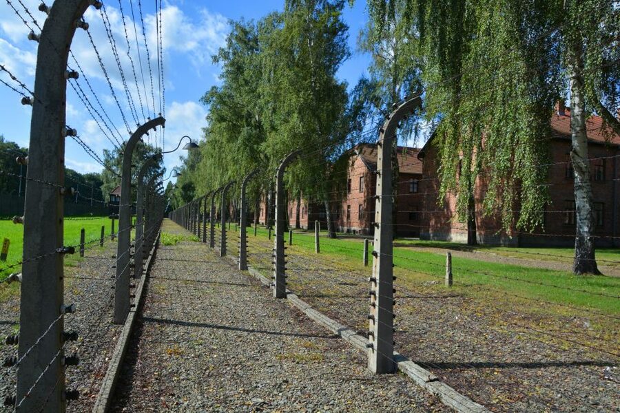Krakow: Guided Auschwitz Birkenau Tour - Auschwitz II-Birkenau: Gas Chambers, Crematoria, and the Railway Ramp