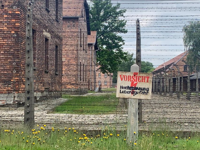 Krakow: Guided Auschwitz-Birkenau Tour - Minivan Transport - What to bring, what not to bring, and the walking reality