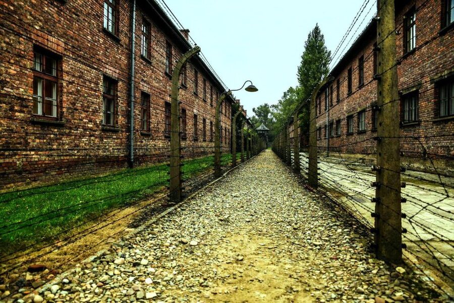 Krakow: Guided Auschwitz-Birkenau Tour - Minivan Transport - Minivan logistics that make a hard day easier