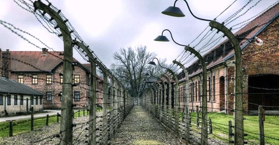 Krakow: Guided Auschwitz-Birkenau Tour - Minivan Transport - Auschwitz II-Birkenau: the scale is the lesson