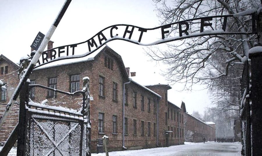 Krakow: Guided Auschwitz-Birkenau Tour - Minivan Transport - Hotel pickup and drop-off: convenient but respect the timing