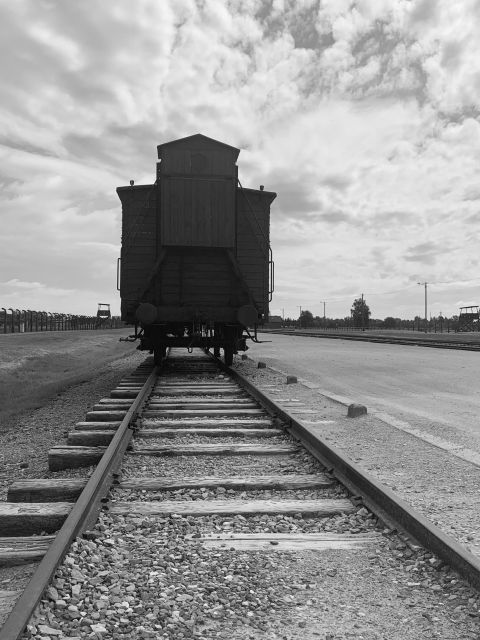 Krakow: Guided Auschwitz-Birkenau Tour - Minivan Transport - Guide quality: museum credentials and real communication