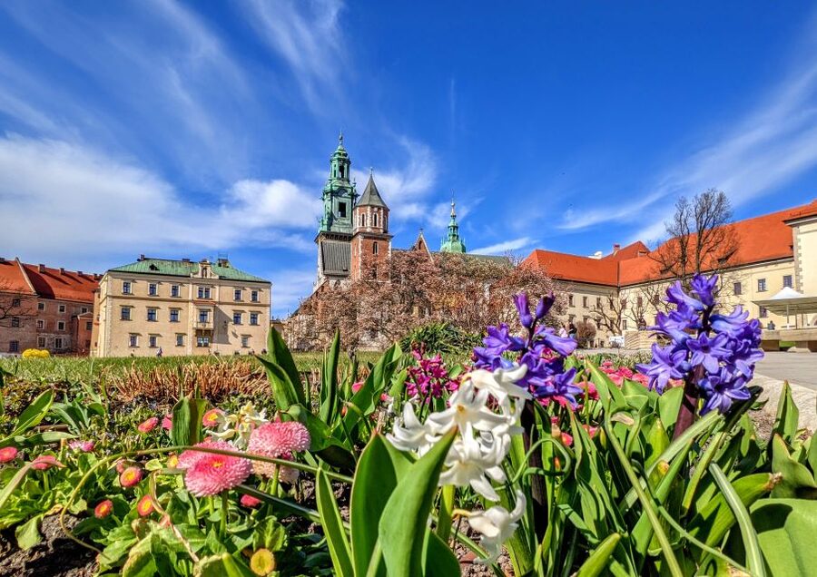 Kraków: Old Town & Wawel Castle Walking Tour in English - What Makes the Guides on This Tour Work