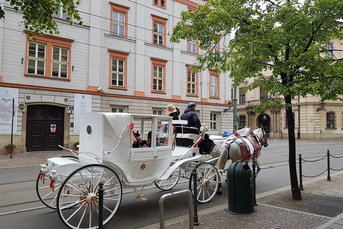 Krakow Private Walking Tour - Wawel Royal Castle courtyard and cathedral, in a tight 30 minutes