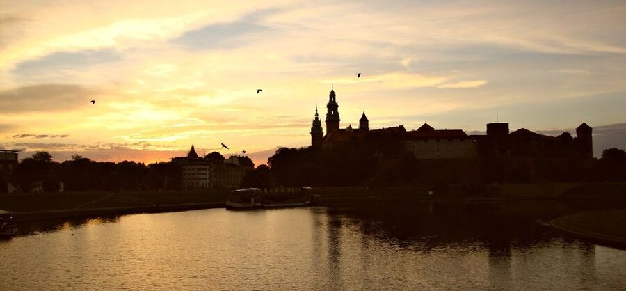 Krakow: Skip the Line Wawel Castle & Cathedral Private Tour - What you actually see at Wawel Castle State Rooms