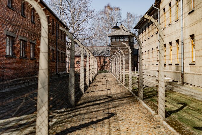 Krakow to Auschwitz Birkenau Guided Tour with Private Transfer - How the Schedule Actually Feels: 7 to 8 Hours Total