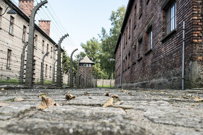 Krakow to Auschwitz Birkenau Guided Tour with Ticket and Transfer - Auschwitz Birkenau from Krakow, the day-trip version that actually helps