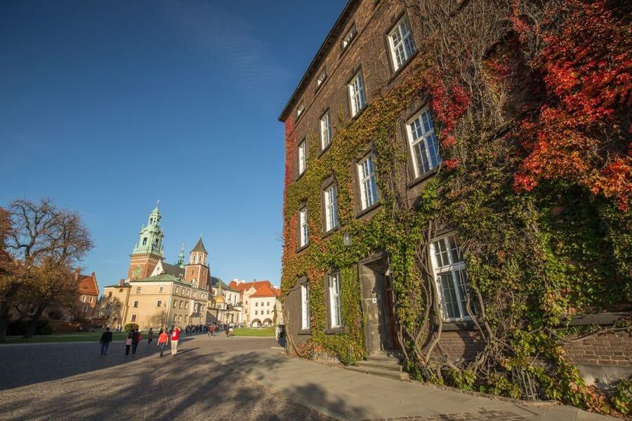 Krakow: Wawel Castle Guided Tour - What’s Included in the Ticket: Value That Adds Up