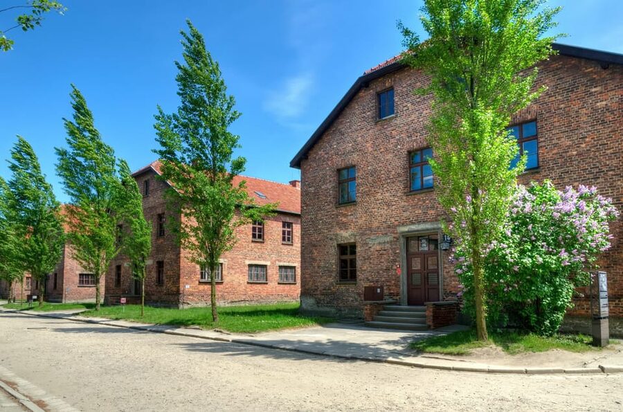 Krakow: Wieliczka Salt Mine and Auschwitz-Birkenau Tour - A Full Day From Krakow: The 12-hour Rhythm