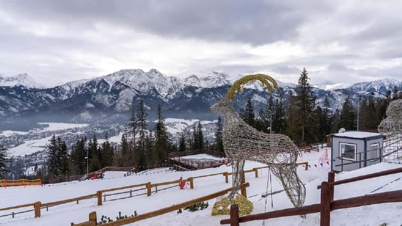Krakow: Zakopane and/or Thermal Baths Experience - Transport and meeting points: don’t assume your ticket moves you