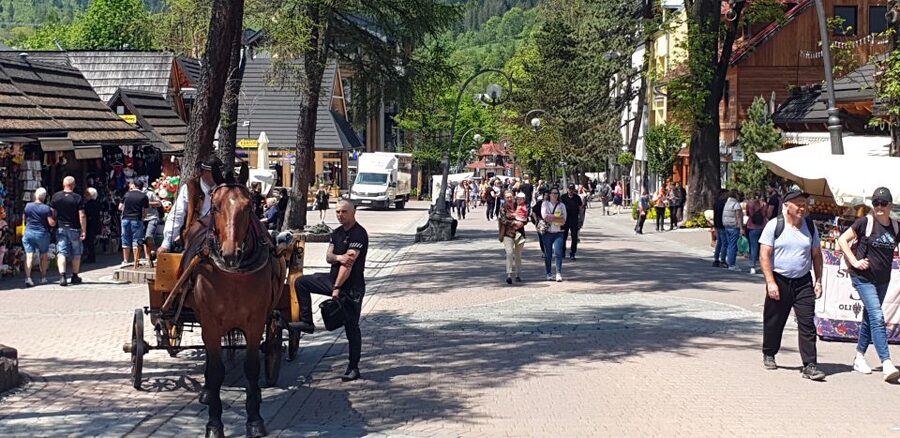 Krakow: Zakopane, Funicular, Cheese, and Highland Day Trip - Zakopane Free Time and Krupówki Street: Use It Like a Pro