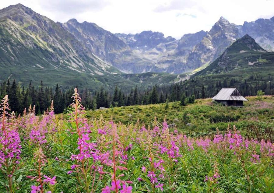 Krakow: Zakopane, Morskie Oko, and Cheese Tasting Tour - Morskie Oko and Tatra National Park: Your Walk, Your Pace