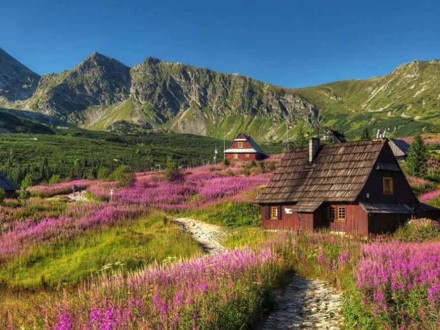 Krakow: Zakopane, Morskie Oko, and Cheese Tasting Tour - Price and Value: What You’re Really Paying For