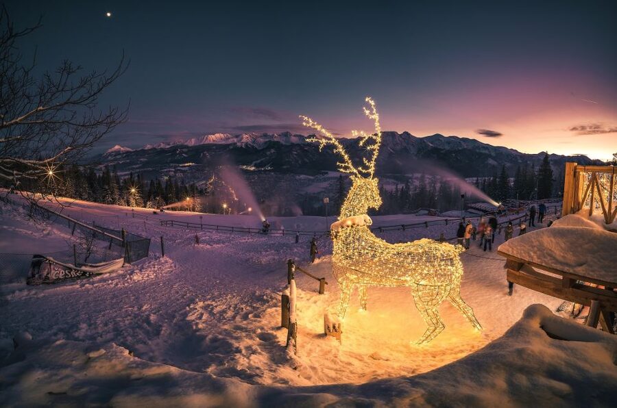 Krakow: Zakopane, Thermal Springs, Cable Car, Local Tasting - Price and value: what $16 really covers in your day