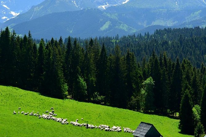 Krakow: Zakopane with Thermal Baths, Cable Car & Hotel Pickup - Krupówki Street: your free-time buffer for food, shopping, and people-watching