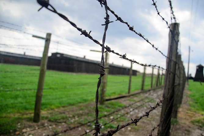 Lublin and Majdanek Small Group Tour from Warsaw with Lunch - A Warsaw Day Trip That Balances Lublin’s Art and Majdanek’s Reality