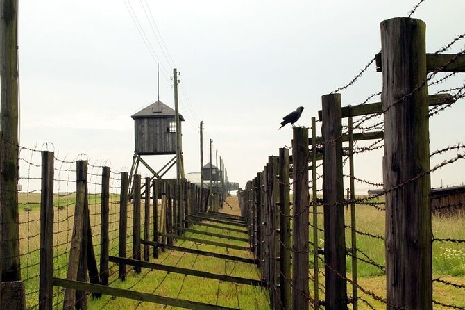 Lublin and Majdanek Small Group Tour from Warsaw with Lunch - A Practical Checklist Before You Book