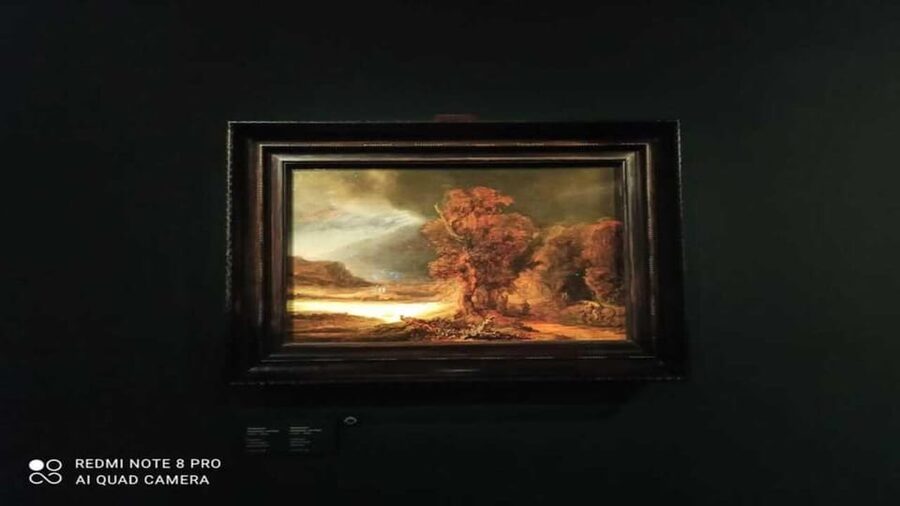 Museo Czartoryski: Visita in italiano e salta la fila - Key highlights you’ll feel right away