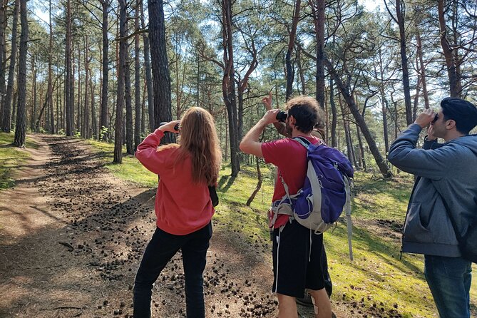 Nature Walk and Wildlife Tour in Sobieszewo Island - Key highlights you should know