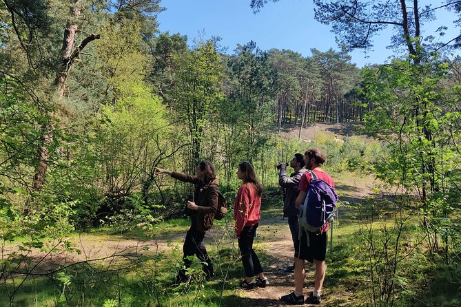 Nature Walk and Wildlife Tour in Sobieszewo Island - Sobieszewo Island birding near Gdansk: why this walk feels worth it