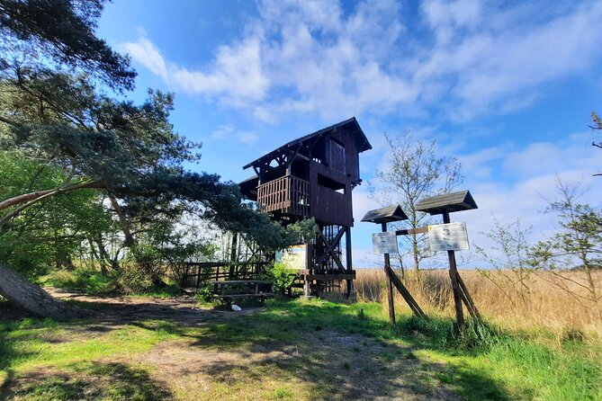 Nature Walk and Wildlife Tour in Sobieszewo Island - Stop 1: Wieża Obserwacyjna Imienia Baboli at Ptasim Raju (30 minutes)