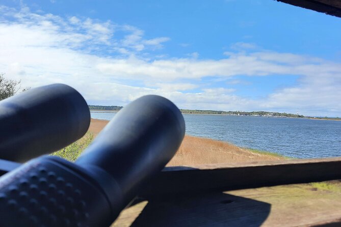 Nature Walk and Wildlife Tour in Sobieszewo Island - Stop 2: Wieża Obserwacyjna Nr2, the two-story view over Jezioro Ptasi Raj (40 minutes)
