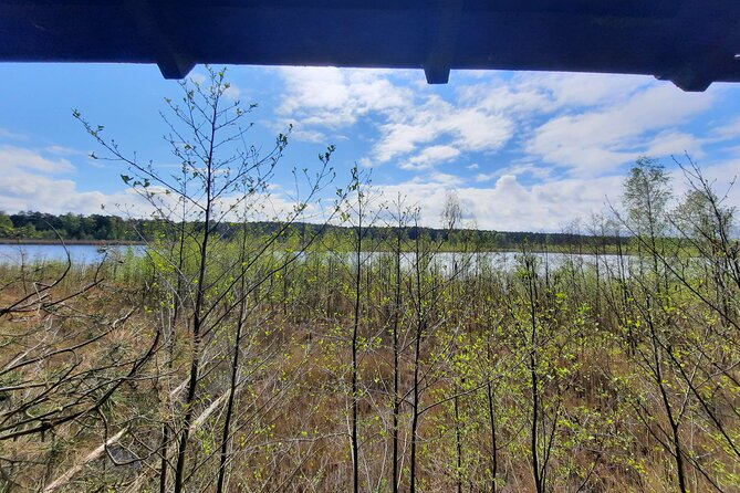 Nature Walk and Wildlife Tour in Sobieszewo Island - Stop 5: altana przy Ptasim Raju, the end-of-tour bench area (10 minutes)