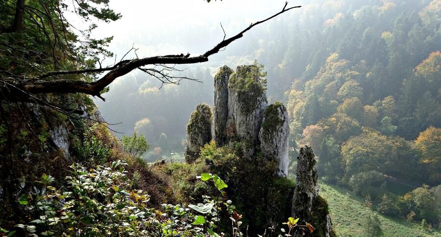 Ojcow National Park: Full-Day Trip from Krakow - What to pack and wear for a full day in Ojcow