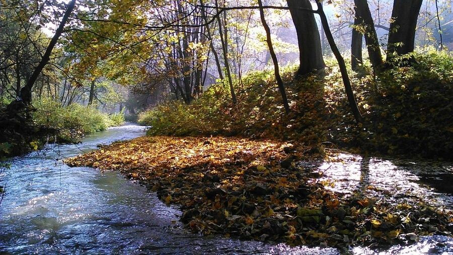 Ojcow National Park: Full-Day Trip from Krakow - Grota Lokietka: the cave stop that sets the tone