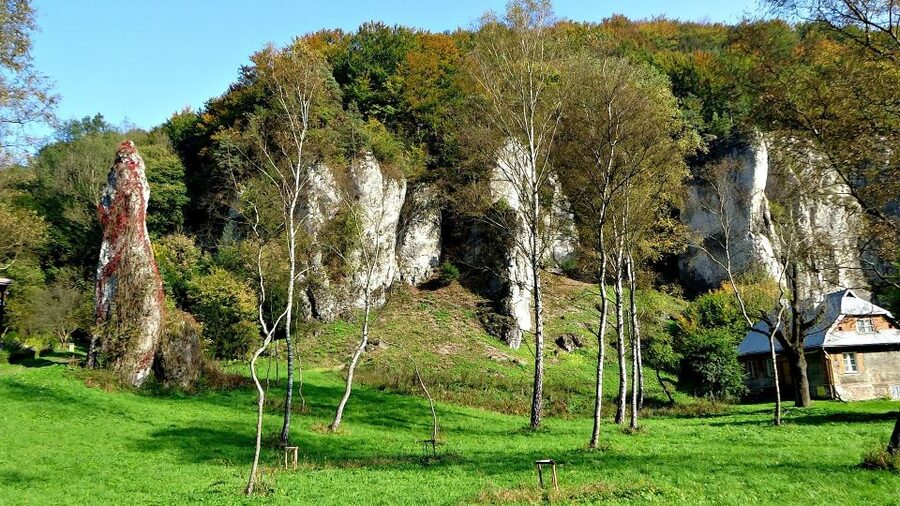 Ojcow National Park: Full-Day Trip from Krakow - Guide quality: why an English-speaking leader matters here