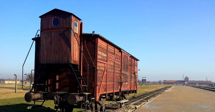 Oswiecim: Auschwitz-Birkenau Skip-the-Line Entry Tickets - Birkenau: Wooden Blocks, Scale, and the Ruins of Industrial Genocide