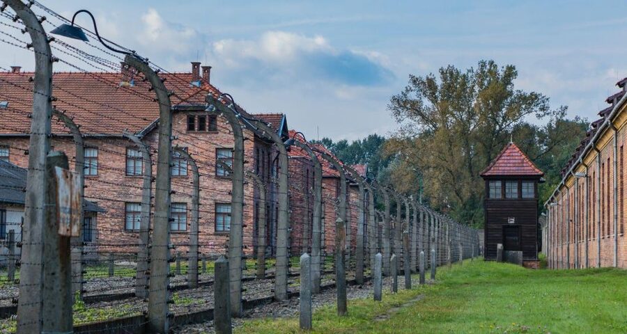 Prague: Tour to Auschwitz Birkenau - Auschwitz II-Birkenau: scale you can actually see