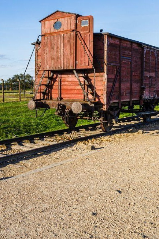 Prague: Tour to Auschwitz Birkenau - What your guided time and free time look like
