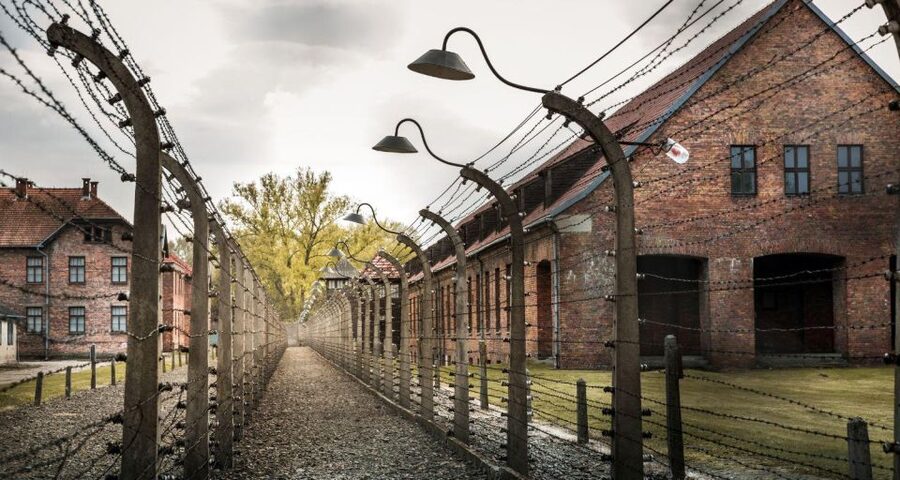 Prague: Tour to Auschwitz Birkenau - Practical considerations that matter more than you think