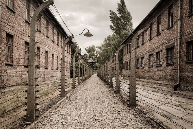 Private Guided Tour to Auschwitz & Birkenau from Krakow - The Judenramp stop: a brief but crucial arrival point
