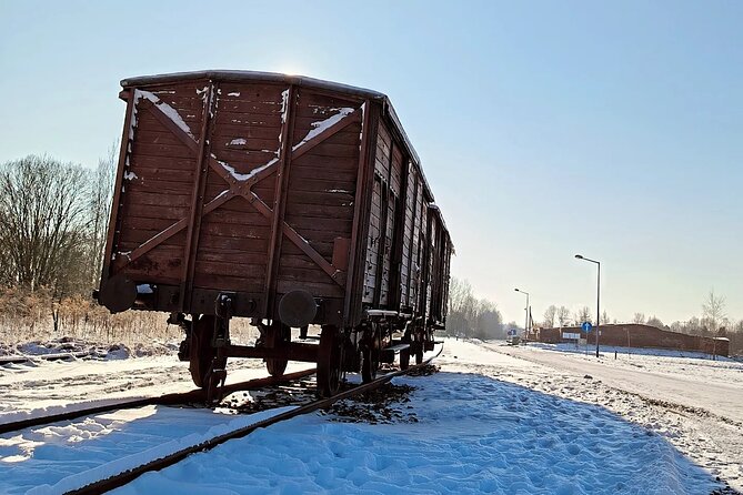 Private Guided Tour to Auschwitz & Birkenau from Krakow - How the guiding works: driver handles transport, museum guides handle Auschwitz